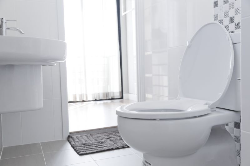 Modern Toilet and Bidet
